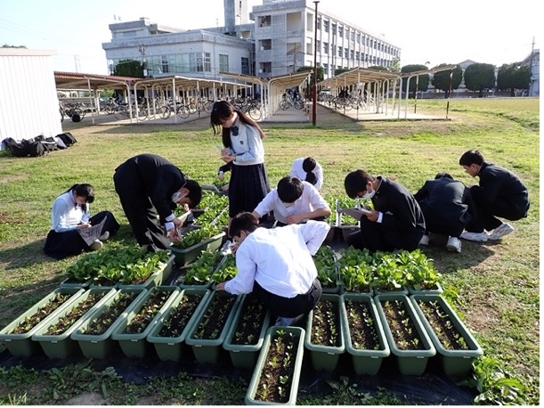 最優秀ポスター賞受賞の広島県立西条農業高等学校の活動風景2