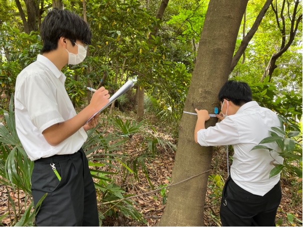 優秀ポスター賞受賞の浅野中学・高等学校の活動風景2