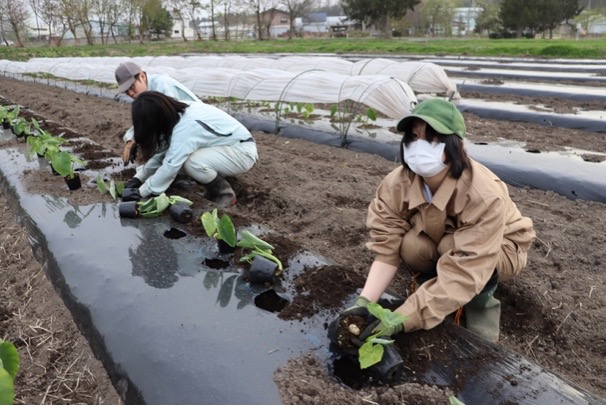 優秀オンラインポスター賞受賞の山形県立村山産業高等学校の活動風景1